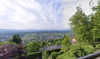 Pleskarska in vzdrževalna dela Jakša Robi Jakša s.p.