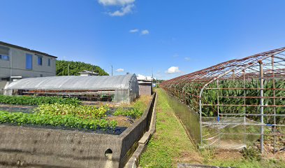 紀の川市立 東貴志保育所