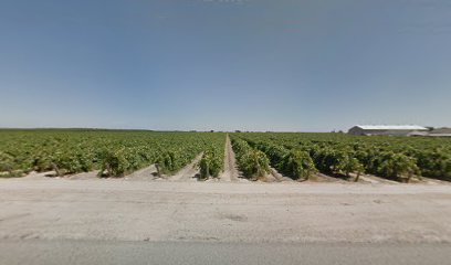 Shubin Vineyards