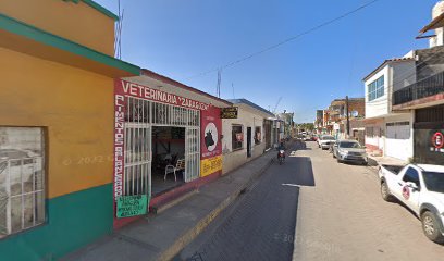 Veterinaria Zaragoza