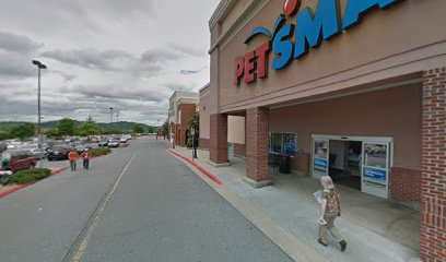 PetSmart Grooming