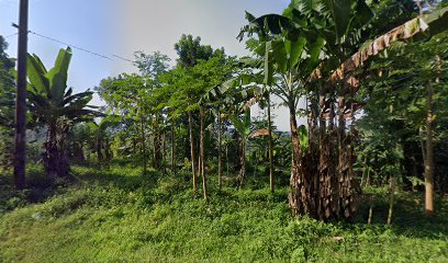 Panglong Bonghas