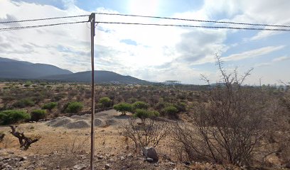 Avenida de los pastores