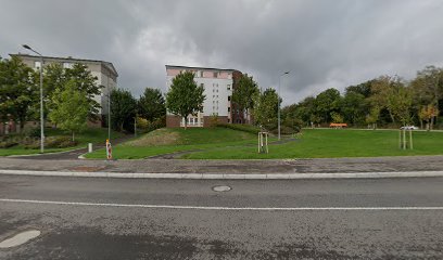 Vel'oh Station no 62, LEYDENBACH