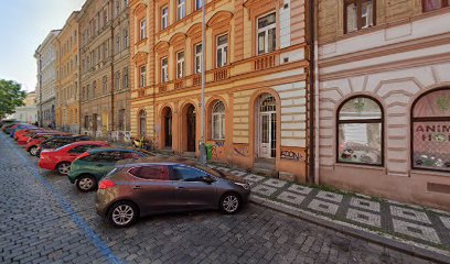SLAVONA Praha - okna a dveře