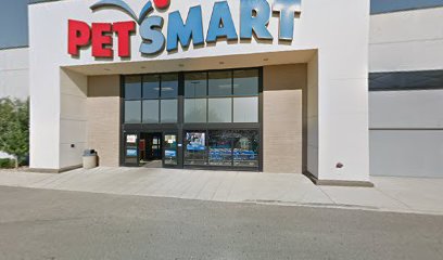 PetSmart Dog Training