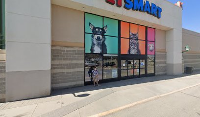 PetSmart Dog Training