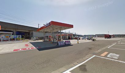 ピッカーズセルフPLANT5見附店