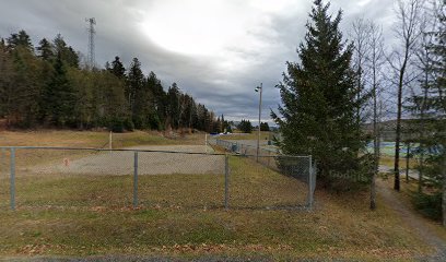 Skatepark de Saint-Prosper