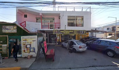 Compra y Venta de Autos