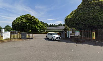 牛久運動公園森のテニスコート No.8～10