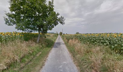 Chemin de randonnée