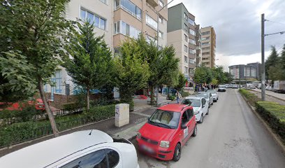 Tıp Sitesi