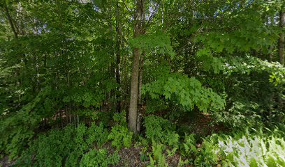 Riverdale Cemetery