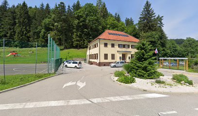 VVZ Slovenj Gradec, Oddelek Sele