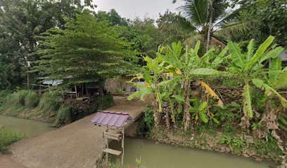 Toko Online Herbal Nasa (BANJAR LANGEN)