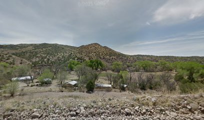 Agave Log Cabin