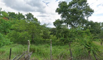 LOTE DE TERRENO 'LAS PAVAS'