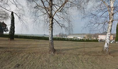 Hřbitov Strahovice