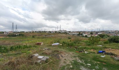 Arnavutköy Kurbanlık Satış Yeri