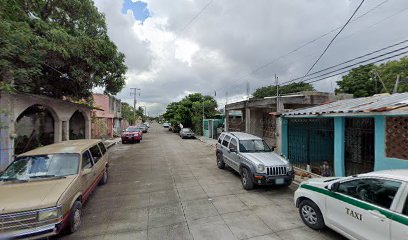 Paseadores de Mascotas