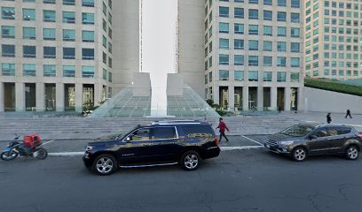 Compañía Operadora de Estacionamiento Mexicanos