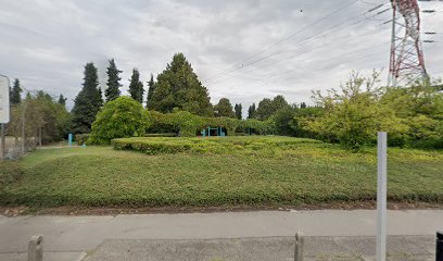 Parc street workout