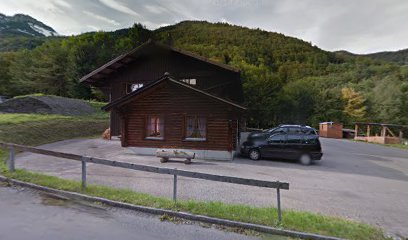 Holzenergie Werdenberg Rheintal