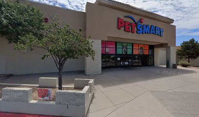 PetSmart Dog Training