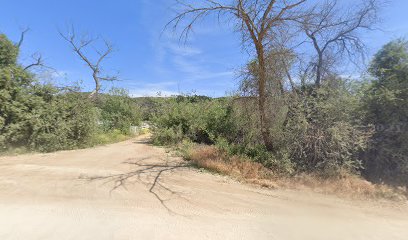 Wine Country Horseback Riding