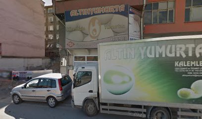 Altın Yumurta