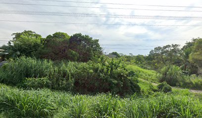 Recidencia camino real