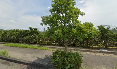 杵築市海浜夢公園 テニスコート