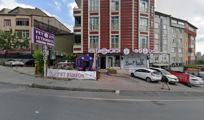 PetJoy İstanbul petshop&Pet Kuaför