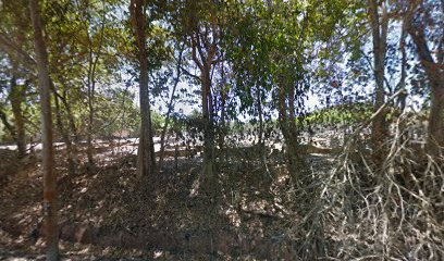 Kampung Bemban Chinese Cemetery