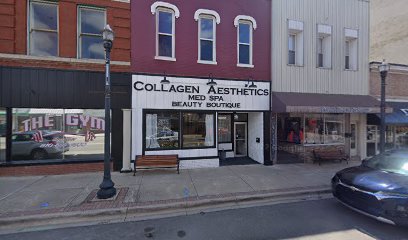 Collagen Aesthetics