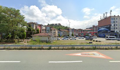 Viçe Otopark