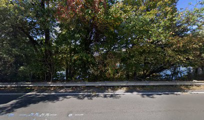 Dundee Lake Bridge