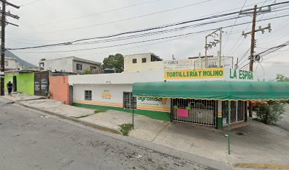 Tortillería y Molino