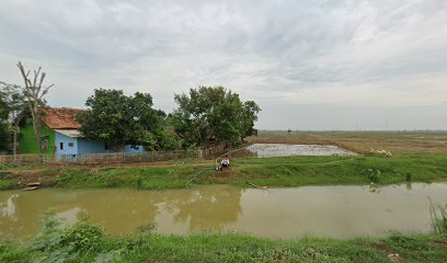 Jasa Renovasi Rumah Junaedi