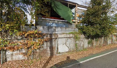 シバタ下里