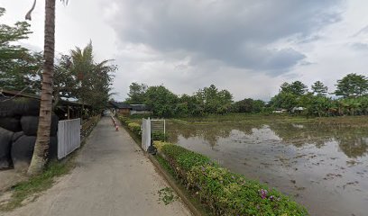 Kios pakan burung erlangga shop