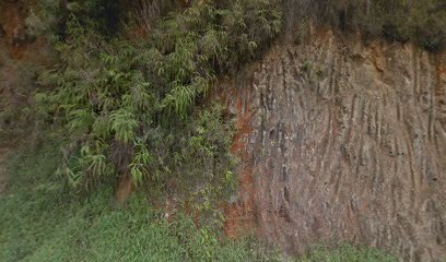 Cementerio de Guacacallo