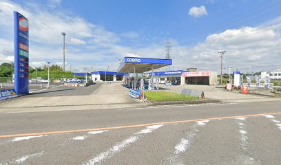 ピッカーズコスモセルフ三好打越店