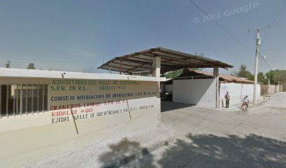 Consejo Michoacano de Graneleros S.P.R. de R.L