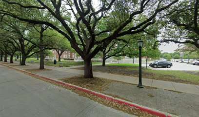 Edwin L. Cox BBA Business Leadership Institute