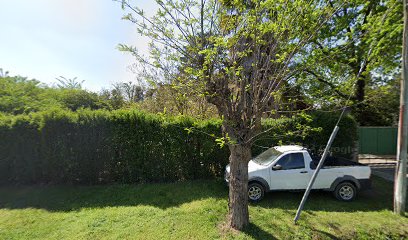 Vivero la casita de mama