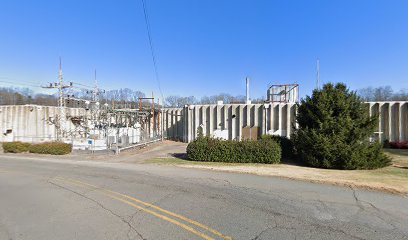 HP Plant 23