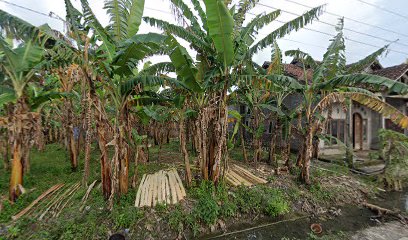 Pak nor hadi tukang kayu