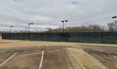 Brighton Park-tennis court